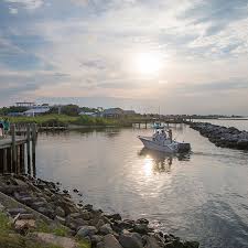 The island is a sanctuary with several aviary facilities. Dauphin Island Alabama Travel Guide Places To Go Restaurants And Hotels Alabama Travel