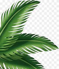 Pngtree provides millions of free . Palm Leaves Png Images Pngwing
