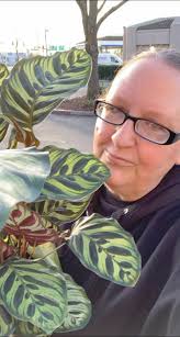 Someone went shopping again !! Great shop from Grocery Outlet Great job  Sara Faye Redding