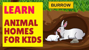 Animal homes serve a variety of purposes. Animal Homes For Kids Homes Of Animals And Birds Animal Habitats Animal Home Names For Kids Youtube
