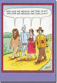 Gray Hair Wrinkles And Flab Funny Tom Cheney Birthday Card By Nobleworks Funny Cartoons Funny Tom Senior Humor