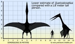 Quetzalcoatlus