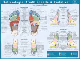 Cartes Pieds Reflexologie Reflexologie Plantaire Plantaire
