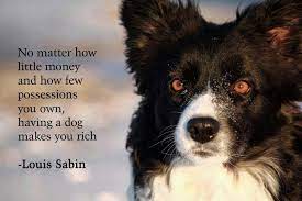 No Matter How Little Money Quote By Louis Sabin Dieren