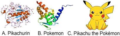 PDF] Expression of the pokemon gene and pikachurin protein in the pokémon  pikachu | Semantic Scholar