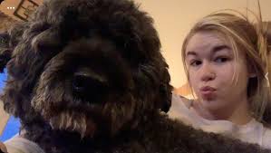 Star was an absolute well.... star today at the vets. Her bloods were taken  and her calcium levels checked and thankfully her calcium is spot on.  That's such a huge relief as