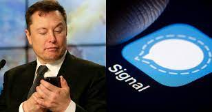 In past, he accidentally revealed his person number on twitter to his millions of followers. Signal Advance Share Price Jumps By 11 708 After Elon Musk Tweet