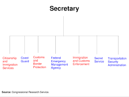 Second Stage Review Partial Organizational Chart Of Dhs