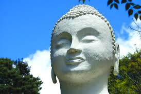 Updated BRC Newsflash