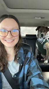 Missing since January 18th, male yorkie, tail docked, answers to Todo,  Banning Rd, Hutcheson Ferry area, Whitesburg, Ga.