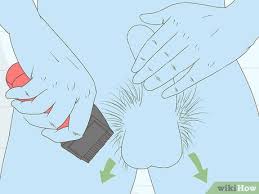 We did not find results for: How To Shave Your Genitals Male 14 Steps With Pictures