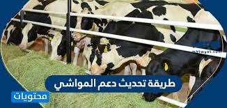 طريقة تحديث دعم المواشي موقع محتويات