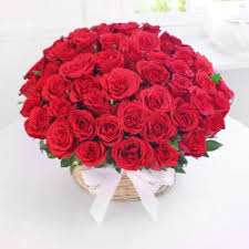 We did not find results for: Red Roses Send Red Roses Flowers Bouquet For Valentine S Day Online In India