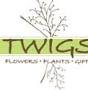 Twig's Flowers from www.yeringtonflowers.com