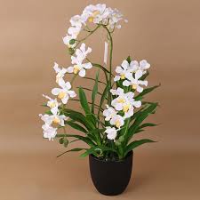 Realistic artificial potted flowers plants in pot outdoor home garden decor. Wholesale Large Vanda Orchid Artificial Plant In Plastic Pot For Home Decoration Fake Flowers Buy Outdoor Large Plastic Plant Pots Vanda Orchid Flower Large Artificial Bonsai Plant Product On Alibaba Com