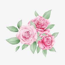 Lindo Pequeno Buque De Rosas Aquarela Para Composicao De Cartoes Rosas Clipart Casamento Convite Imagem Png E Vetor Para Download Gratuito Arte Flor Arte Floral Imagem Floral