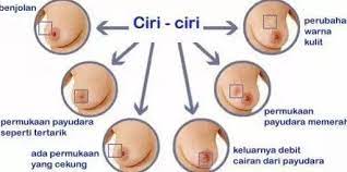 Kalo berdekatan / bersentuhan tubuhnya gampang panas. Barah Payudara Dan Tanda Tanda Yang Perlu Diketahui Sihat Net