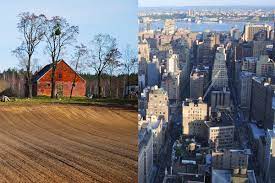 Please tell me some of your own benefits and/or disadvantages you may know of! City Slicker Vs Country Bumpkin Who Has A Smaller Carbon Footprint Live Science