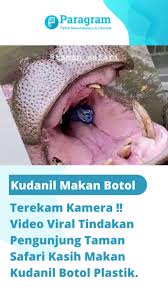 Create unforgettable tiktok videos that you can share across any platform with adobe spark video. Tiktokterkini Hashtag Videos On Tiktok