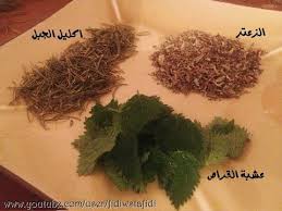 علاج قوي وفعال لتساقط الشعر و إنبات الفراغات How To Dry Basil Herbs Hair