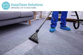 What method and solution should you use? Expert Carpet Cleaning In Gosport Upholstery Carpet Cleaner