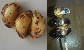 Cara menghangatkan badan secara alami dengan resep tradisional. Inilah Kesan Hebat Yang Terjadi Setelah Makan 6 Biji Bawang Putih Panggang Ramai Dah Cuba Semua Semua Semuanya