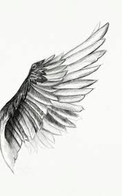 Feather Wings Drawing Wings Tattoo Feather Tattoos