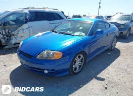 Image result for Tidal Wave 2004 Tiburon