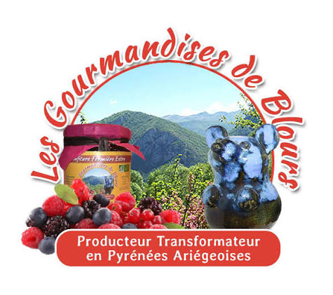 Sorbet cassis plein fruit bio - 750 ml - Les Gourmandises De Blours - Locavor.fr