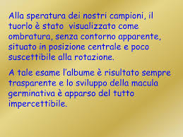 È completamente realizzato ed è un unico nel suo genere che verrà tramandato. Uovo Tuorlo Ed Bianco Dell Uovo Perdita Di Peso Di Albume Vs Tuorlo
