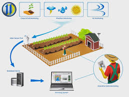 Smart Farming Based On Iot Technologies Will Enable Growers And Farmers To Reduce Waste And Enhance Productiv Farming Technology Agriculture Greenhouse Farming