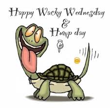 Wacky Wednesday Wednesday Hump Day Wednesday Quotes Wacky Wednesday