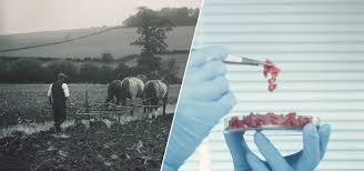 The ranch gate subtly and elegantly suggests that this is my property and my we believe a ranch gate does not need to stand out like a sore thumb. What The Plow And Lab Grown Meat Tell Us About Innovation Bill Gates