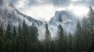 Yosemite National Park Forest Mountains Clouds Landscape Nature Hd Wallpapers Desktop And Mobile Images Photos