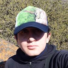 Aves Rapaces de Chile