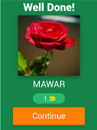 Nama dari mawar ini disematkan kepada duke of portland sebagai tanda mengenang beliau. Nama Bunga Para Android Apk Baixar