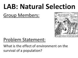 You have remained in right site to begin getting this info. Natural Selection Lab Bird Beak Adaptation Ppt Video Online Download