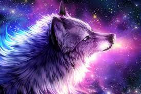 Maybe you would like to learn more about one of these? Galaxy Wolf Night Sky Galaxy Cool Wallpaper Novocom Top