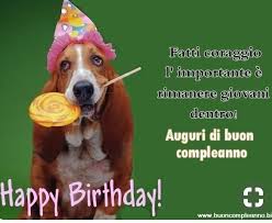 Pin Di Massimiliano Giglia Su Buon Compleanno Auguri Di Buon Compleanno Buon Compleanno Buon Compleanno Cane