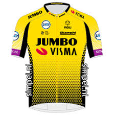 The team consists of four sections: Team Jumbo Visma