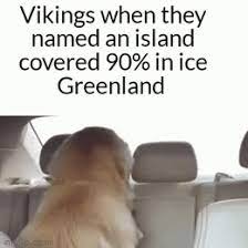 So while this doggo can't read, we love him all the same. Smiling Dog Evil Dog In Backseat Know Your Meme