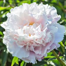 Click to read full detail here. Pin On Styles You Dig