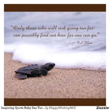 Pin By Ginger Love On Motivation Turtle Quotes Beach Quotes Inspirational Quotes
