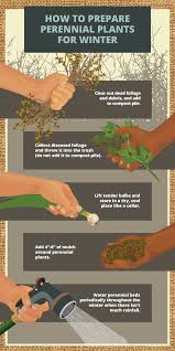 When preparing a succulent garden bed, consider the layout and have a plan, but be flexible when you begin planting. Tips For Protecting Your Garden In Winter Fix Com