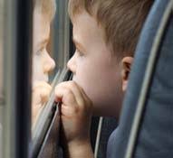 Graduate student goes green page10