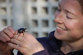 Team — The Sheldon Lab