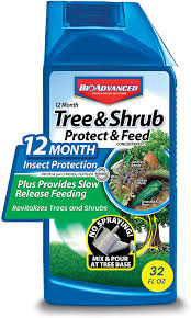 Amazon Com Bioadvanced 701810a Systemic Plant Fertilizer And Insecticide With Imidacloprid 12 Month Tree Shrub Protect Feed 32 Oz Concentrate Garden Outdoor