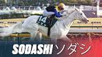 Pure White Racehorse! | The World's Most Beautiful Horse ...