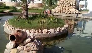 بيع واشري في شانشوا كل ما يهم البيع والشراء والخدمات الفلاحية Home Facebook