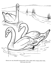 By best coloring pagesoctober 17th 2019. Pin On Drawing